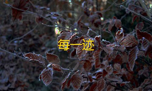 暗区突围开挂神器扫描大金每一迹